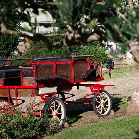 S'ispiga Farm stay *