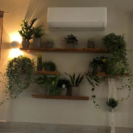 S'ispiga Farm stay