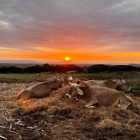 ファームステイ S'ispiga